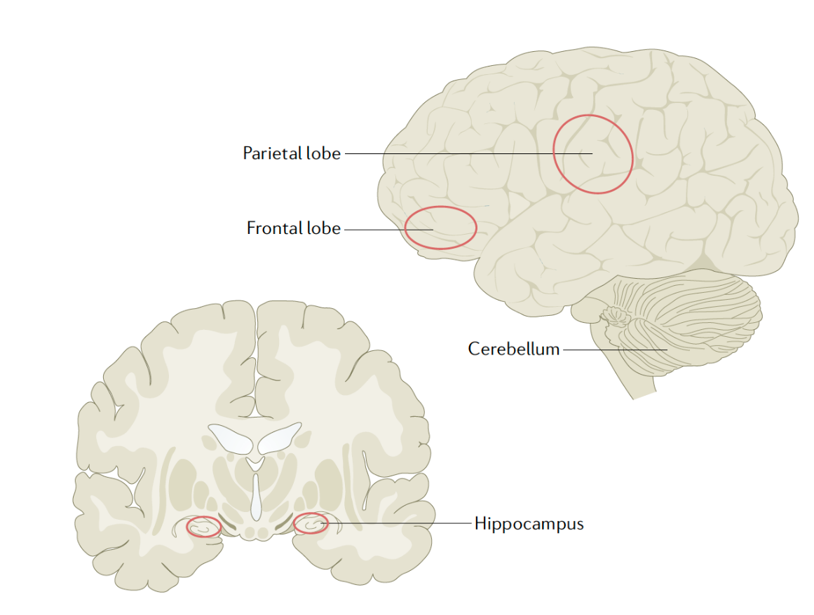 image16.png