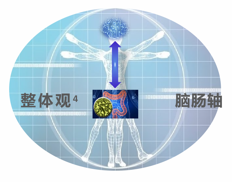 mc.png